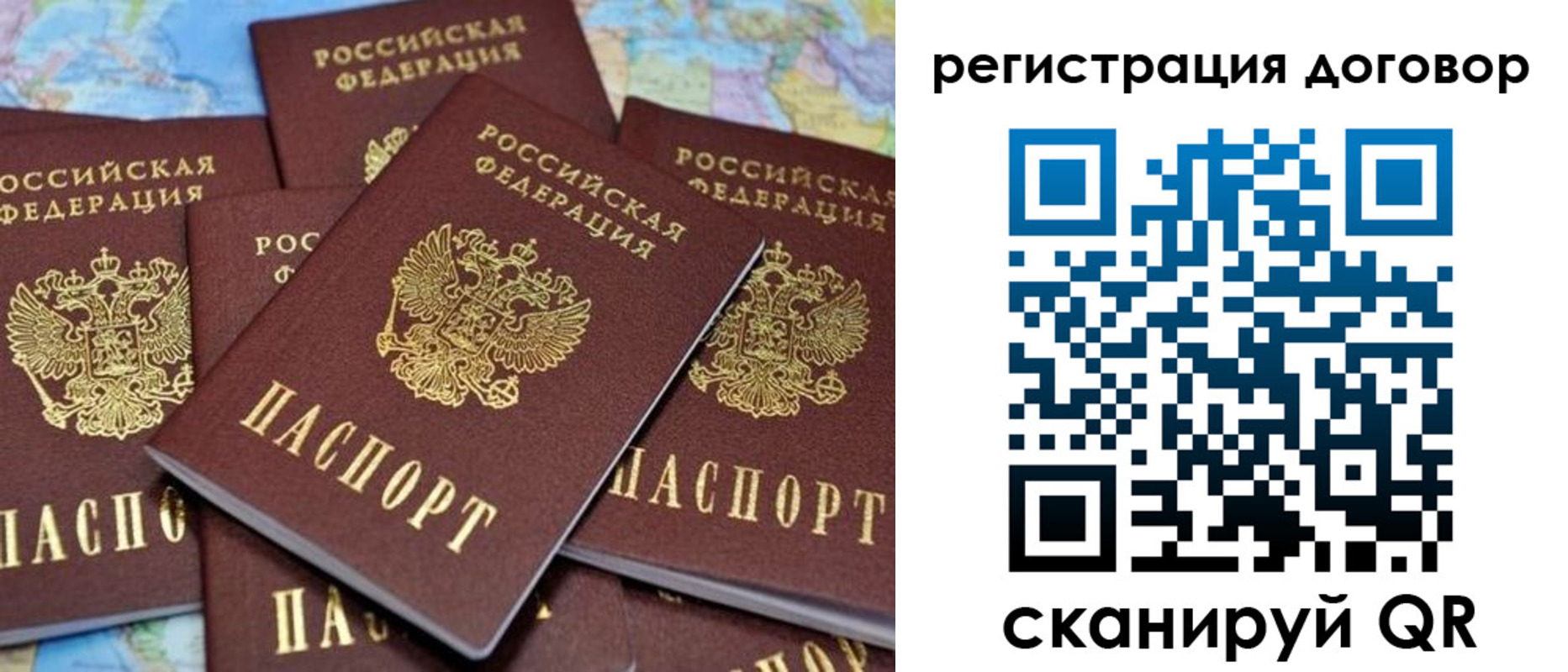 прописка гарантия в Приозерске